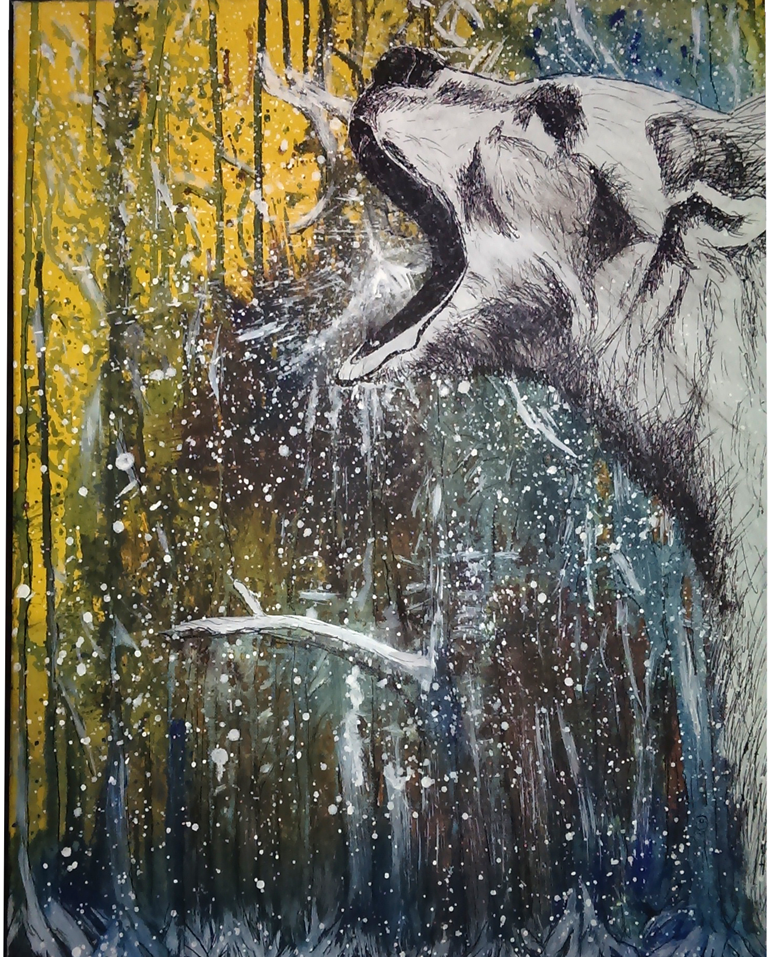 Bär Illustration